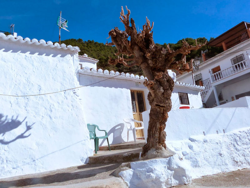 Country Properties Spain Malaga, Inmobiliaria en malaga, axarquia, competa, torrox, torre del mar, las mejores PROPRIÉTÉS en axarquia malaga.