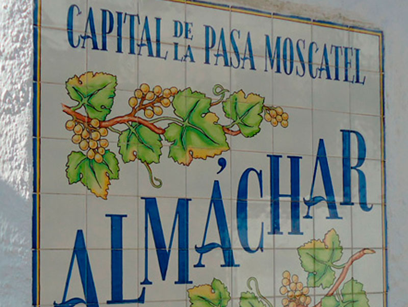 Country Properties Spain Malaga, Inmobiliaria en malaga, axarquia, competa, torrox, torre del mar, las mejores PROPRIÉTÉS en axarquia malaga.