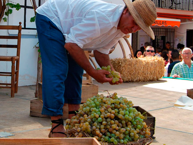 Country Properties Spain Malaga, Inmobiliaria en malaga, axarquia, competa, torrox, torre del mar, las mejores PROPRIÉTÉS en axarquia malaga.